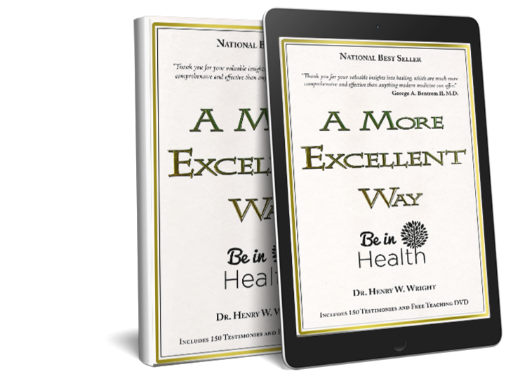 A More Excellent Way by Dr. Henry W. Wright